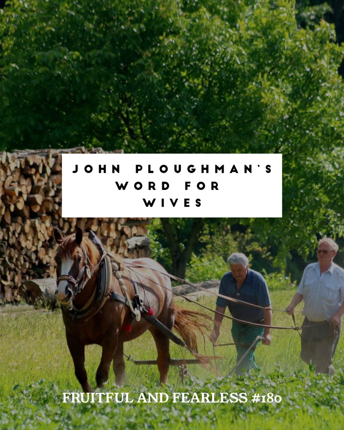 #180 John Ploughman’s Word for Wives